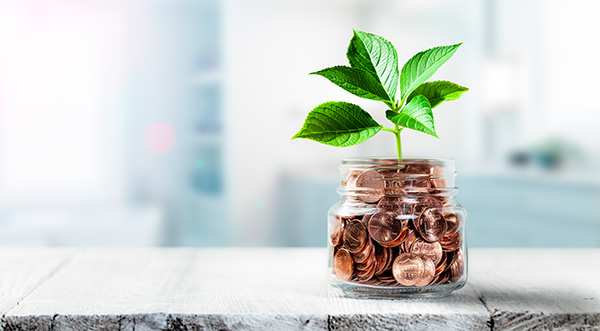 jar full of pennies and a plant